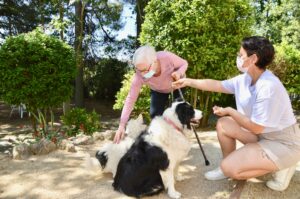 Terapia asistida con animales en La Torreta de Piera