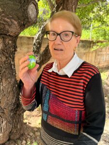 Pascua y Sant Jordi en Residencias La Torreta