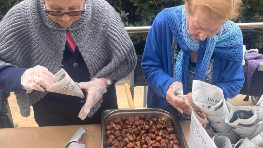 Fiesta Castañada Residencias La Torreta